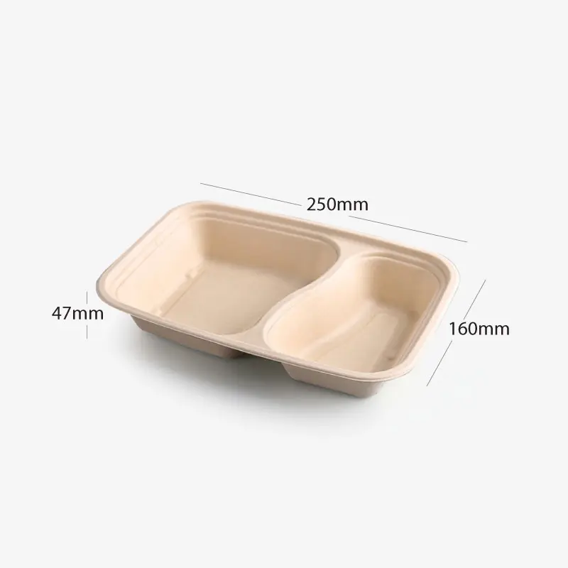 Sugarcane Take-Out Container