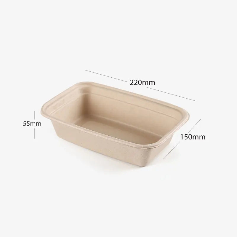 Sugarcane Take-Out Container
