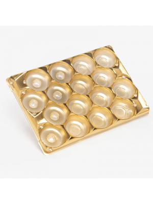 PET Blister Insert