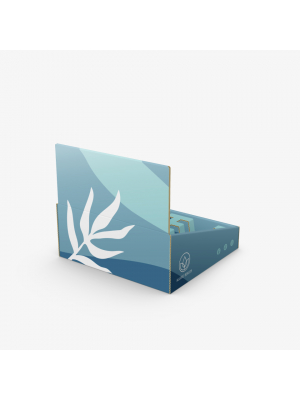 Corrugated Counter Display with Insert