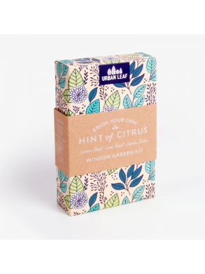 Small Sustainable Gift Box