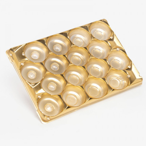 PET Blister Insert