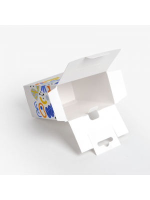Box With Hanging & Locking Tabs