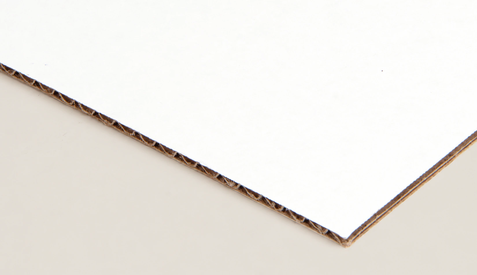 Bleached White Board 